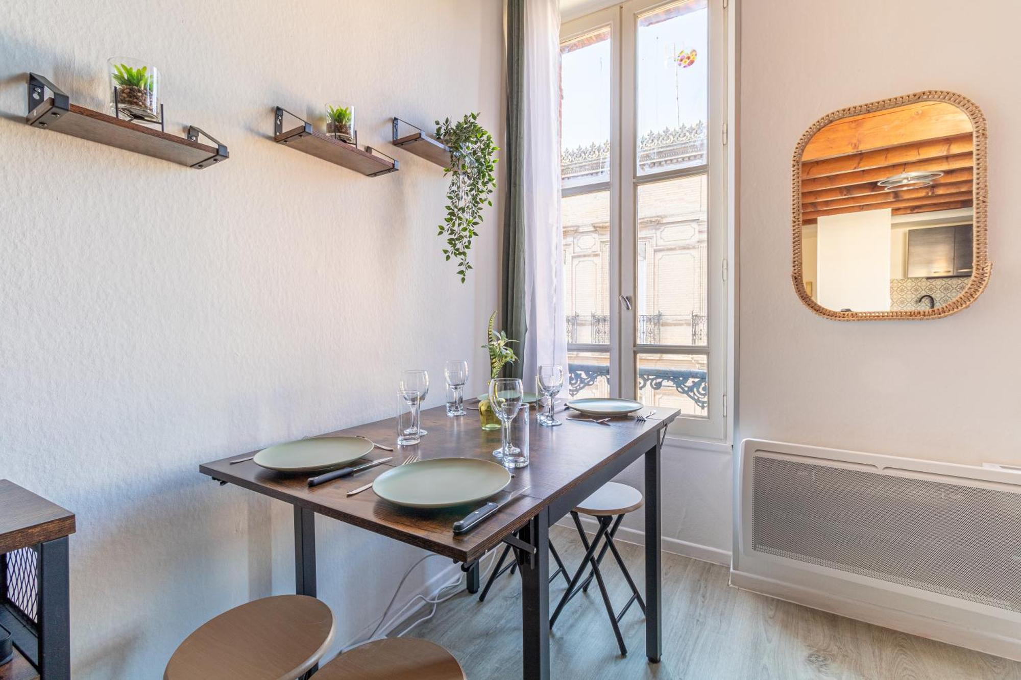 Duplex Cosy En Hypercentre Toulouse